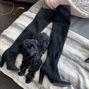 Stuart weitzman highland over the knee boots